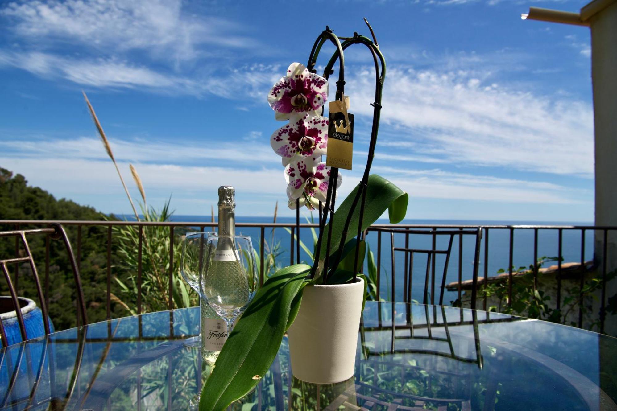 Petit Coin De Paradis A Cote De Monaco Roquebrune-Cap-Martin Exterior photo